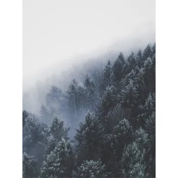 Plakát Plakát, Obraz - bordertreevalley, Finlay & Noa