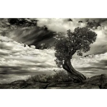 Plakát Plakát, Obraz - The Boss, Jerome Zakka Bajjani