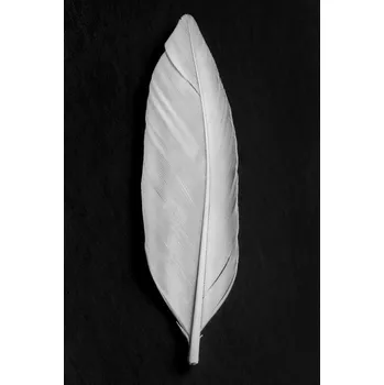 Plakát Plakát, Obraz - Feather 008, Studio Collection