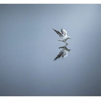 Plakát Plakát, Obraz - Touchdown, david ahern