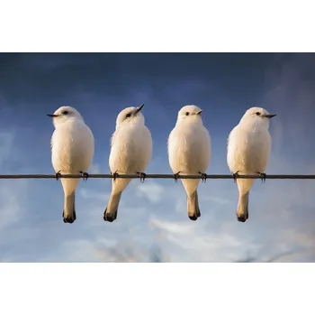 Plakát Plakát, Obraz - White Monjita, Chechi Peinado