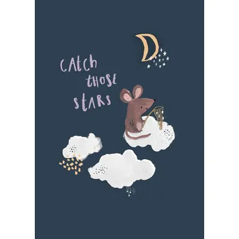 Plakát Plakát, Obraz - Catch those stars., Laura Irwin