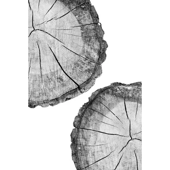 Plakát Plakát, Obraz - Tree, Sisi & Seb