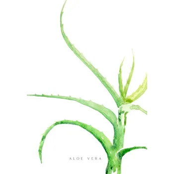 Plakát Plakát, Obraz - Watercolor aloe vera illustration, Blursbyai
