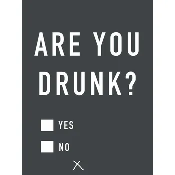 Plakát Plakát, Obraz - Are you drunk, Finlay & Noa