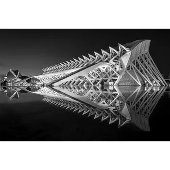 Plakát Plakát, Obraz - Exoskeleton, Fernando Silveira