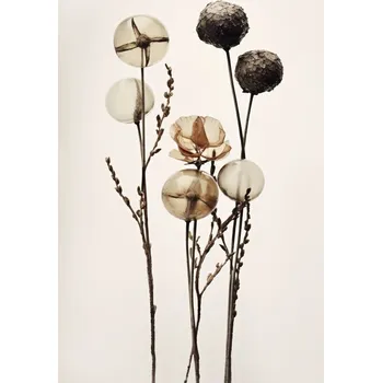 Plakát Plakát, Obraz - Glass Ball Flowers, Treechild