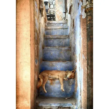 Plakát Plakát, Obraz - Nap time, Roxana Labagnara