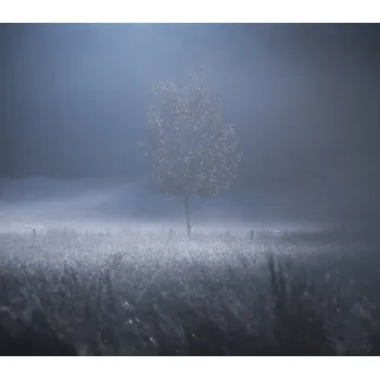 Plakát Plakát, Obraz - A memory of Light, david ahern