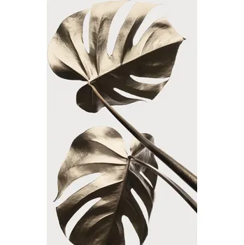Plakát Plakát, Obraz - Monstera Gold 08, Studio Collection
