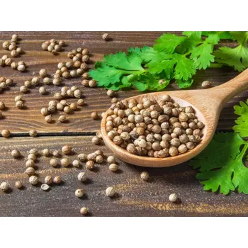 Koření Horňácká farma BIO Koriandr semínka, 25 g