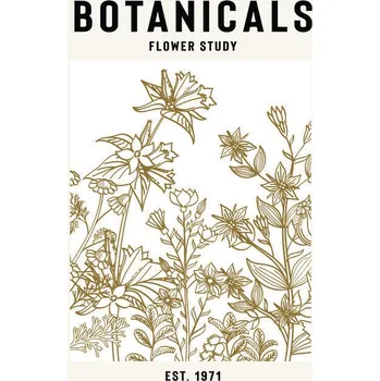 Plakát Plakát, Obraz - Botanicals Flower Study Ii, jay stanley