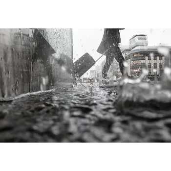 Plakát Plakát, Obraz - Departure On a Rainy Day