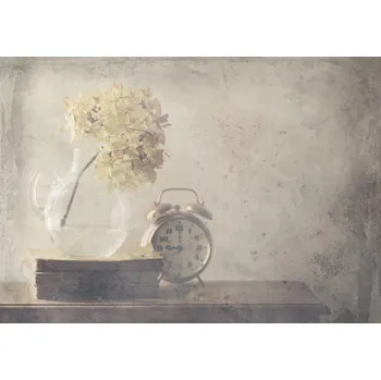 Plakát Plakát, Obraz - Disillusionment of Nine Oa??Clock, Delphine Devos