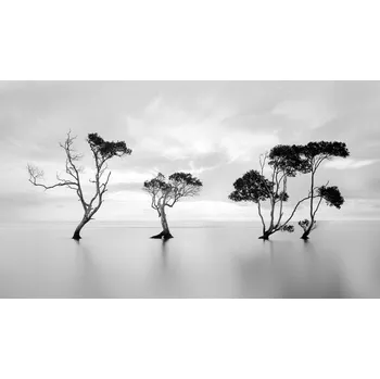 Plakát Plakát, Obraz - Drowning Not Waving, Steven Fudge