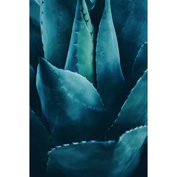 Plakát Plakát, Obraz - Cactus No 4, Kubistika