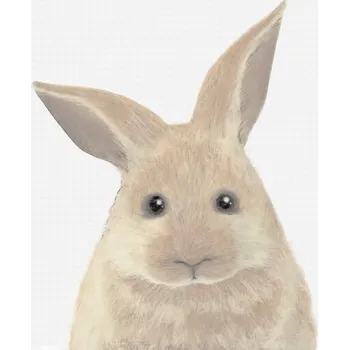Plakát Plakát, Obraz - Rabbit, Studio Collection