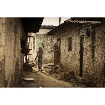 Plakát Plakát, Obraz - Woman in the village, Dan Mirica