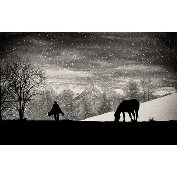 Plakát Plakát, Obraz - It's time to go, Vito Guarino