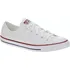 Dámské tenisky Converse Chuck Taylor All Star Dainty Low Top 564981C