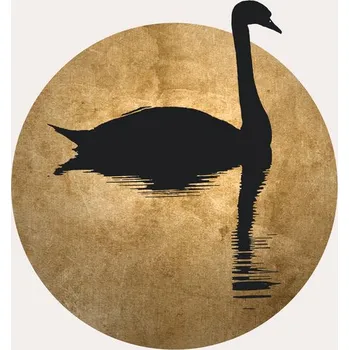 Plakát Plakát, Obraz - The Swan, Kubistika