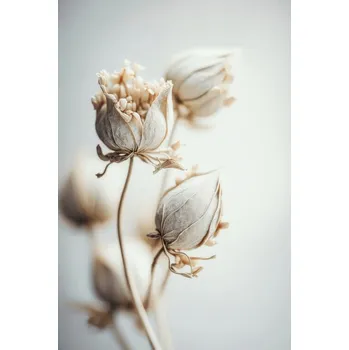 Plakát Plakát, Obraz - Beige Felt Flowers, Treechild