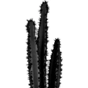 Plakát Plakát, Obraz - BLACK CACTUS 4, Finlay & Noa