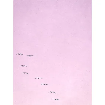 Plakát Plakát, Obraz - borderpinkbirds, Finlay & Noa