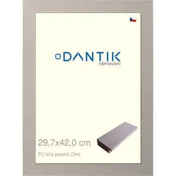 Rám na obraz DANTIK rámeček 29,7x42 | FC Bílá plochá (Plexi Čiré) (Vyrobeno s láskou u nás v DANTIKU)