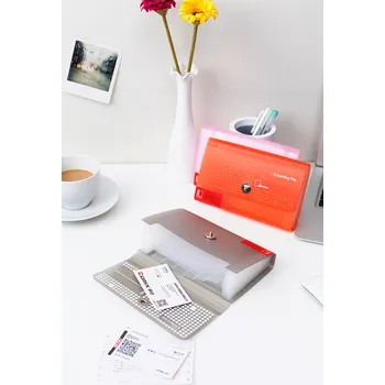 Archivační box Comix Organizér Marseille s přehrádkami A3722 CK Barva: Růžová