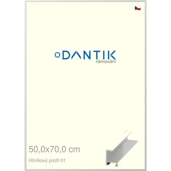Rám na obraz DANTIK rámeček 50x70 | ALU profil 6001 Stříbrná lesklá (Plexi Čiré) (Vyrobeno s láskou u nás v DANTIKU)