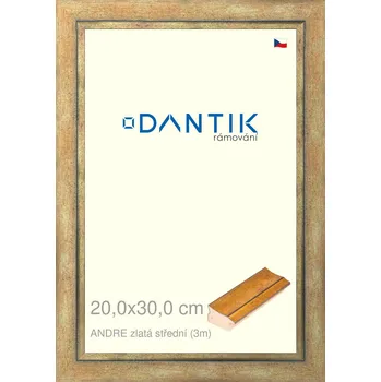 Rám na obraz DANTIK rámeček 20x30 | ANDRE zlatá střední (Sklo Čiré) (Vyrobeno s láskou u nás v DANTIKU)