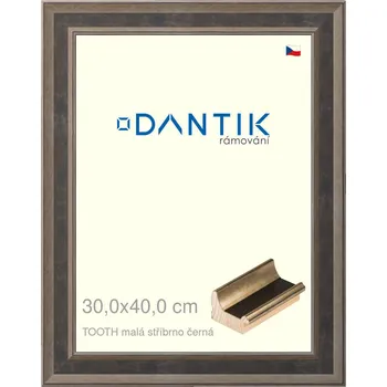 Rám na obraz DANTIK rámeček 30x40 | TOOTH malá stříbrno černá (Plexi Čiré) (Vyrobeno s láskou u nás v DANTIKU)