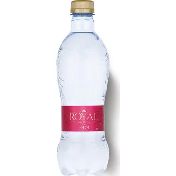 Dětská výživa BABY MINERAL WATER - Dětská minerální voda s pH 7,4 - Royal Water 0,5l