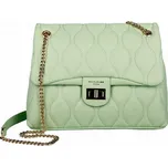 Moderní střední zelená kabelka na rameno podél těla/do ruky David Jones CM6705F