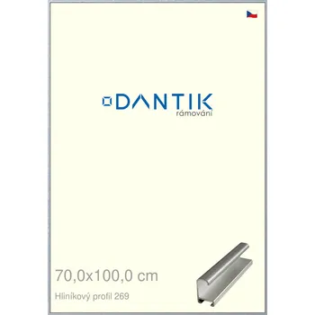 Rám na obraz DANTIK rámeček 70x100 | ALU profil 7269 Sstříbrná broušená (Plexi Čiré) (Vyrobeno s láskou u nás v DANTIKU)