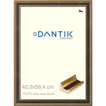 Rám na obraz DANTIK rámeček 42x59,4 | TOOTH malá zlato černá (Plexi Čiré) (Vyrobeno s láskou u nás v DANTIKU)