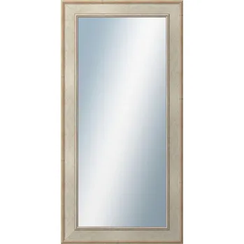 Zrcadlo DANTIK - Zarámované zrcadlo - rozměr s rámem cca 50x100 cm z lišty TOOTH stříbrná (2779)