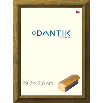 Rám na obraz DANTIK rámeček 29,7x42 | Forgia Gold (Plexi Čiré) (Vyrobeno s láskou u nás v DANTIKU)