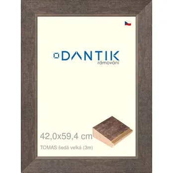 Rám na obraz DANTIK rámeček 42x59,4 | TOMAS šedá velká (Plexi Čiré) (Vyrobeno s láskou u nás v DANTIKU)