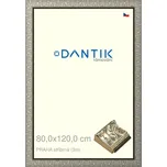 DANTIK rámeček 80x120 | PRAHA stříbrná (Plexi Čiré) (Vyrobeno s láskou u nás v DANTIKU)