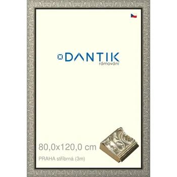 Rám na obraz DANTIK rámeček 80x120 | PRAHA stříbrná (Plexi Čiré) (Vyrobeno s láskou u nás v DANTIKU)