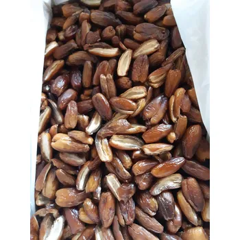 Sušené ovoce Datle Deglet Nour BIO bez pecky Industry 9 kg LES FRUITS DU PARADIS