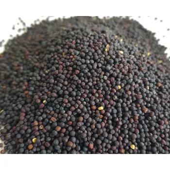 Návnadová surovina Suché řepkové semínko - Premium Velikost: 3kg