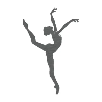 Samolepicí dekorace na vozidlo Baletka 009 pravá (62 - škrábaný titan) SAMOLEPKA NA AUTO, NÁLEPKA, FÓLIE, POLEP, TUNING, VLASTNÍ TEXT, TISK, AUTOSAMOLEPKY.cz, POLEPY, OBRÁZEK, LOGO, 3D STICKERS