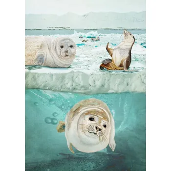 Plakát Plakát, Obraz - Arctic Expedition, Angeles M. Pomata