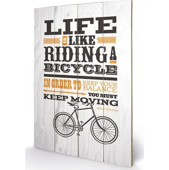 Obraz Dřevěný obraz Asintended - Riding A Bicycle