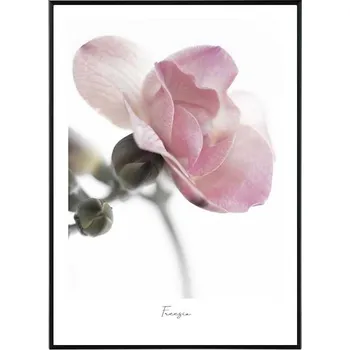 Obraz La forma Design studio Harmony 30x40 cm