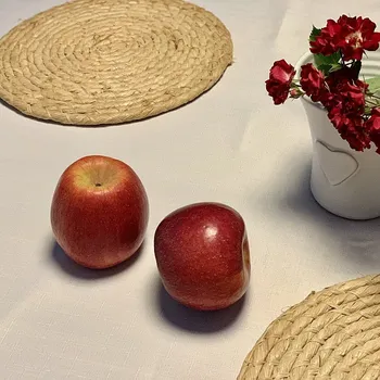 Stolování BYTEMA TEFLONOVÝ ubrus ELBA bílý 45 x 135 cm