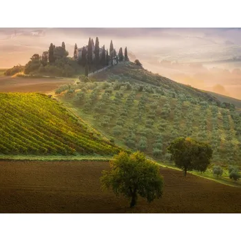 Plakát Plakát, Obraz - Tuscany, Adrian Popan